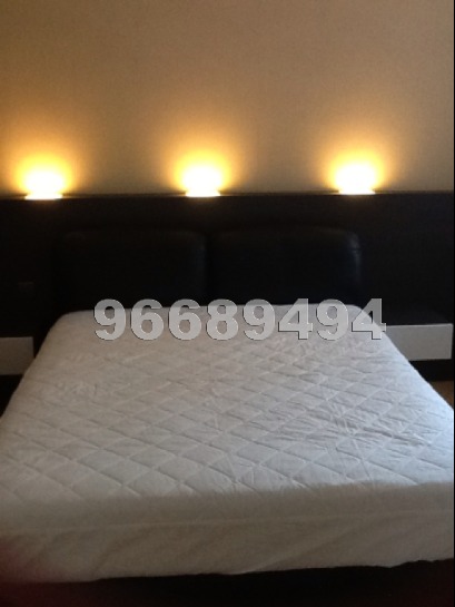 Adam Park Condominium (D11), Condominium #851534